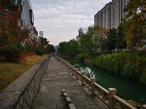 小河道景色