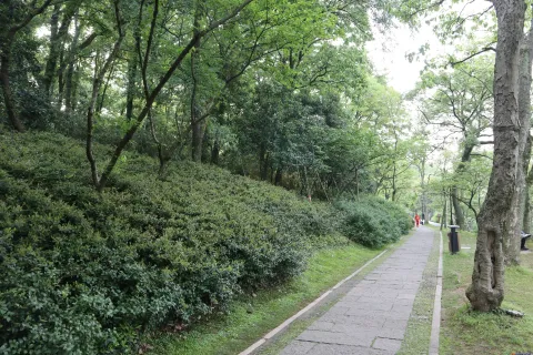乌龟谭边幽静的石头走道