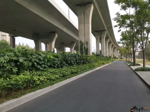 高架桥下