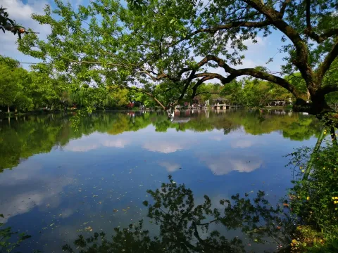 小瀛洲24