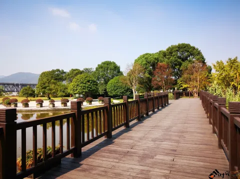 钱塘江大桥南岸的公园景色