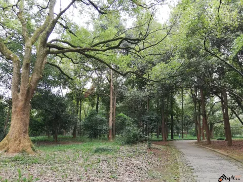 杭州植物园