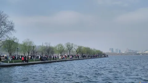 白堤景色