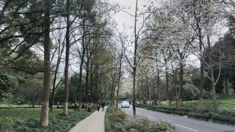 玉古路景色
