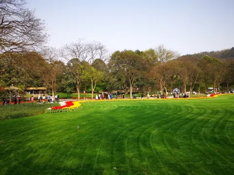 太子湾踏春18