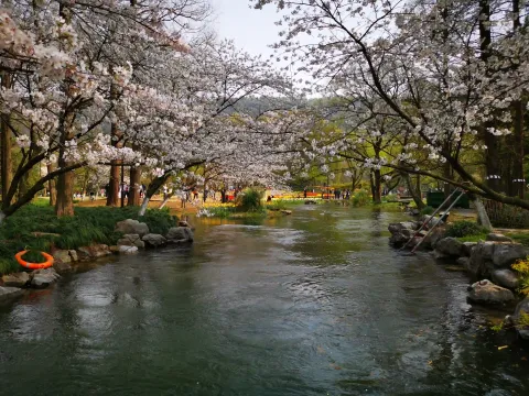 太子湾踏春57