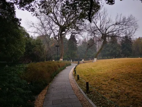 柳浪闻莺17