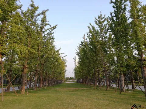 钱江世纪公园