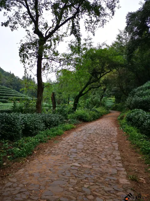 行走九溪十八涧之路