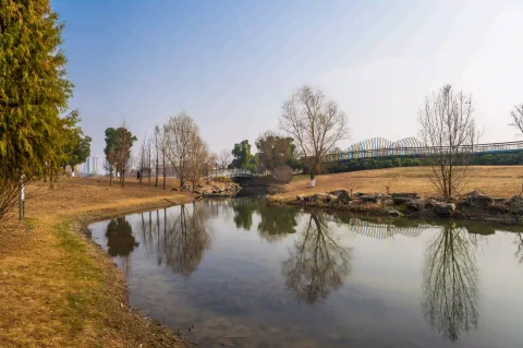 西山漾城市湿地公园5