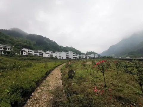 浦江茜溪悠谷