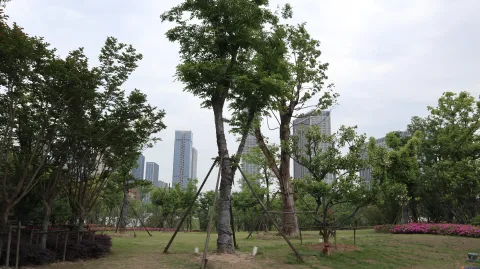 钱江世纪公园