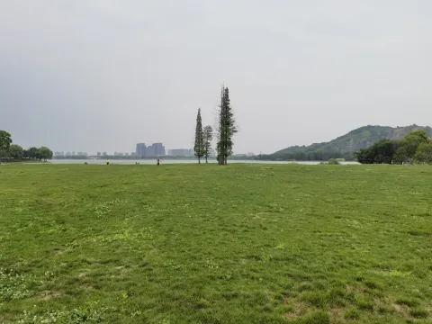 西山漾8