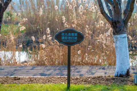 长田漾湿地公园8