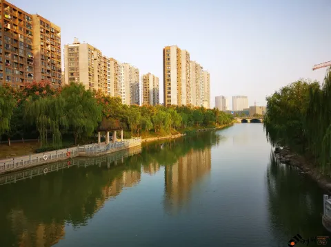 河道景色