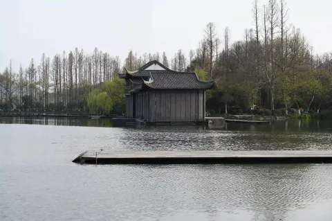 曲院风荷岳湖2