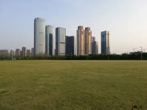 钱江世纪城的一处大草坪