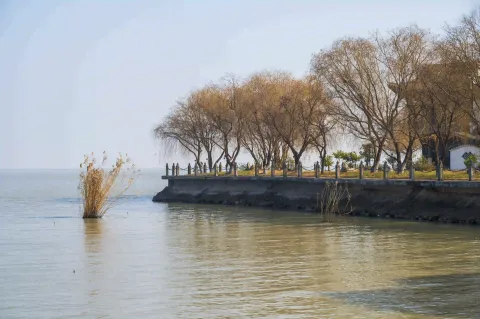 太湖黄金湖岸9