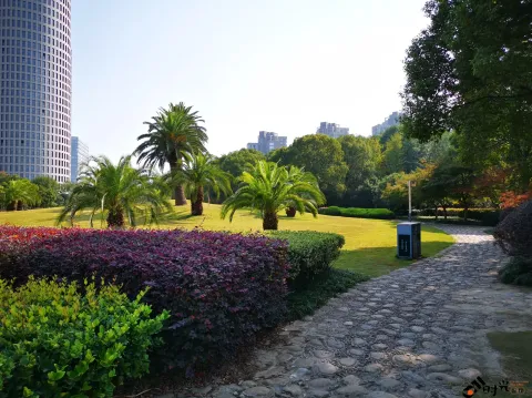 钱塘江大桥南岸的公园景色