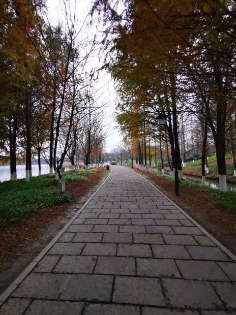 湘湖行人走道