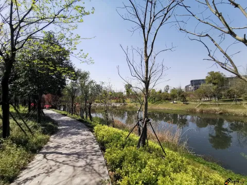 不一样的小河景致