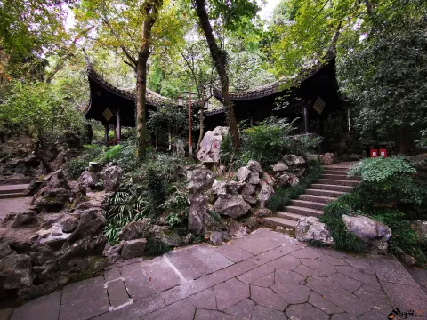 龙井路，龙井问茶，寻龙井古址