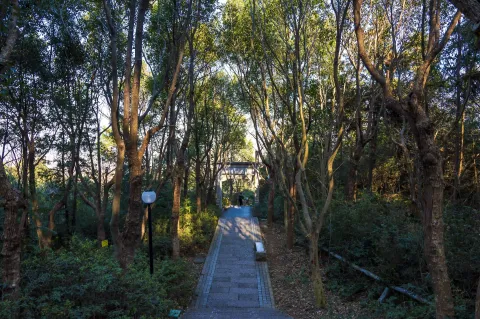 仁皇山爬山走道9