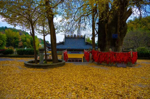 湖州仙顶寺11