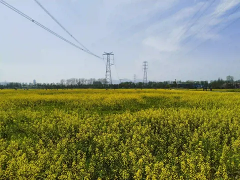 田园牧歌3