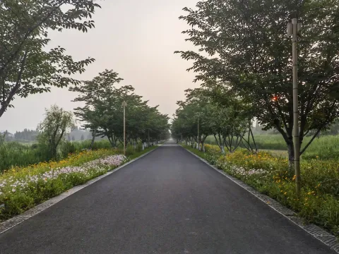 长田漾湿地公园2