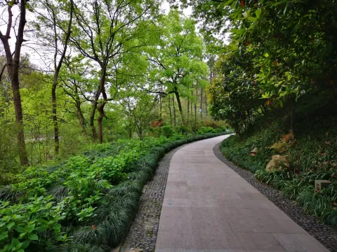 万松书院3