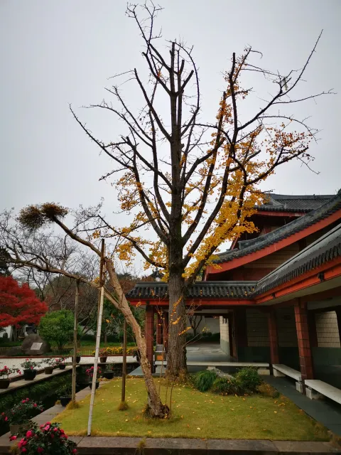 浙江省博物馆（孤山）