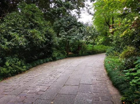 龙井路，心旷神怡的景色