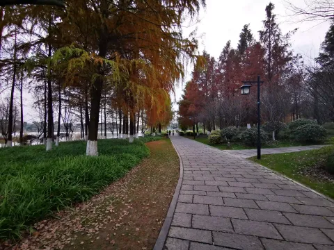 湘湖行人走道