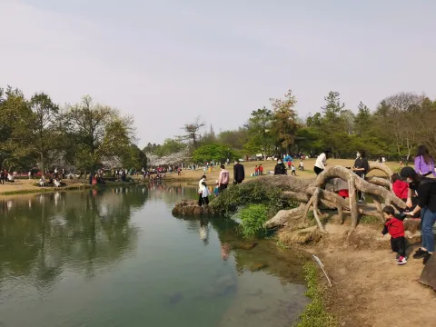 太子湾踏春45