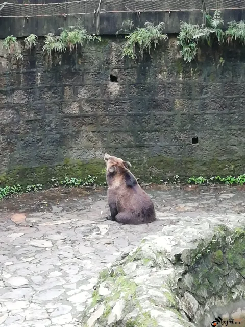 杭州动物园
