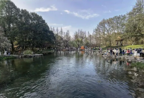 杭州太子湾公园5