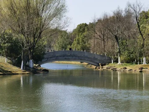 千桃园5