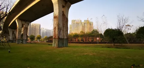 西兴大桥高5