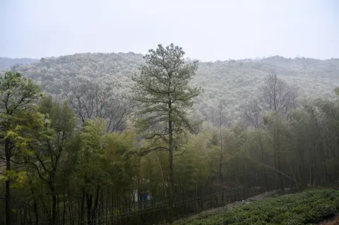 灵山景区10