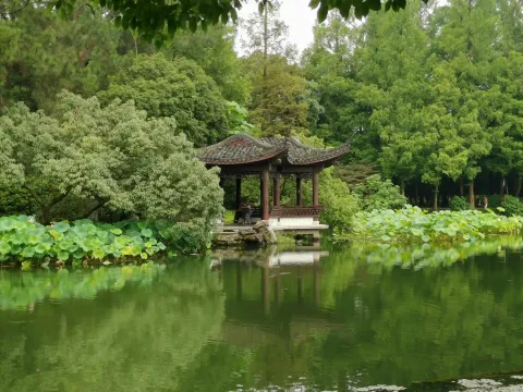 曲院风荷12