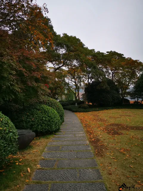 西湖，孤山上的大草坪