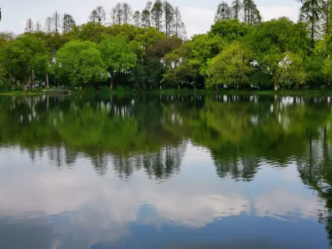 小瀛洲50