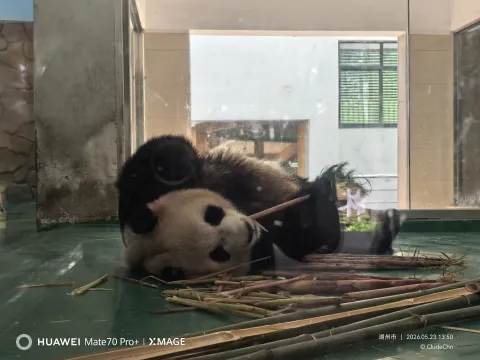 安吉中国竹子博览园6