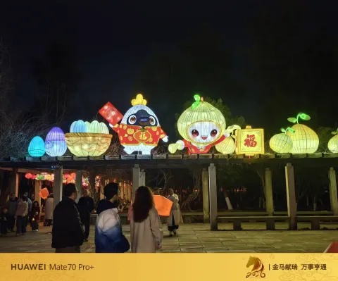 玉环漩门湾农业观光园灯会21