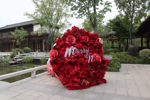 桃花湖公园11