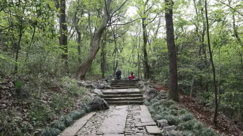 玉皇山2