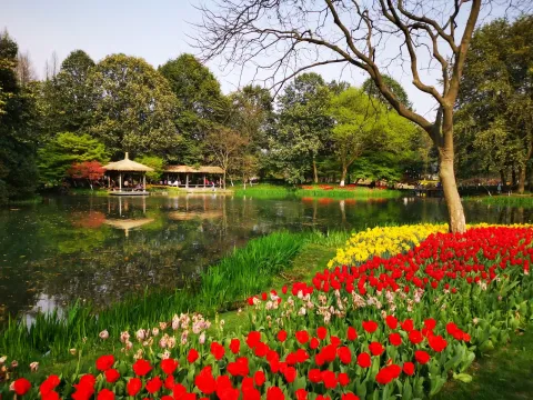太子湾踏春15