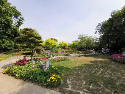 西溪花朝节