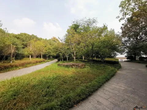 钱江CBD公园